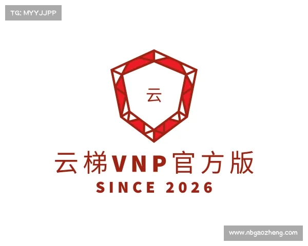 知道云梯vnp官方版